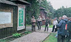 Bory Tucholskie